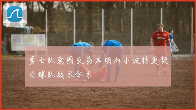 勇士队意图交易库明加小波特更契合球队战术体系